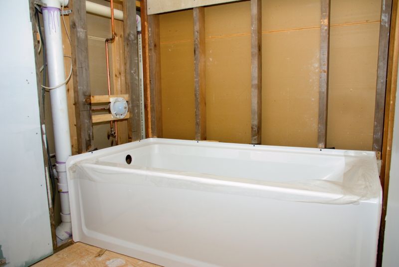 Top Tub To Shower Conversion Companies in Paradise Valley, AZ